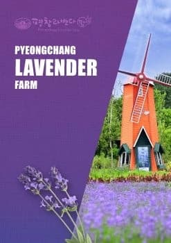 전자책 표지