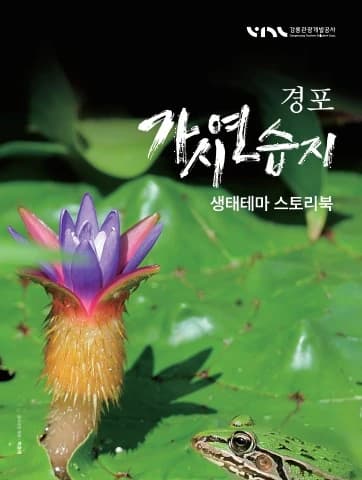 전자책 표지