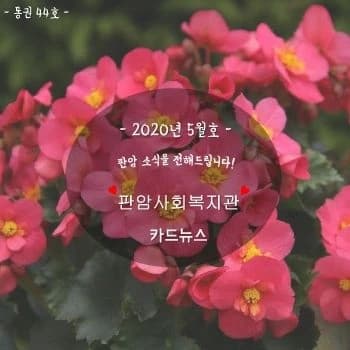 전자책 표지